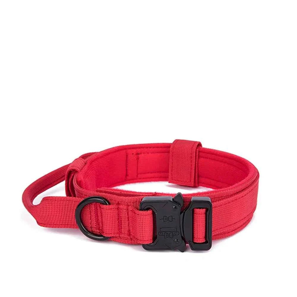 Durable Nylon Dog Collar with Reflective Leash Set - Lazy Paper Club