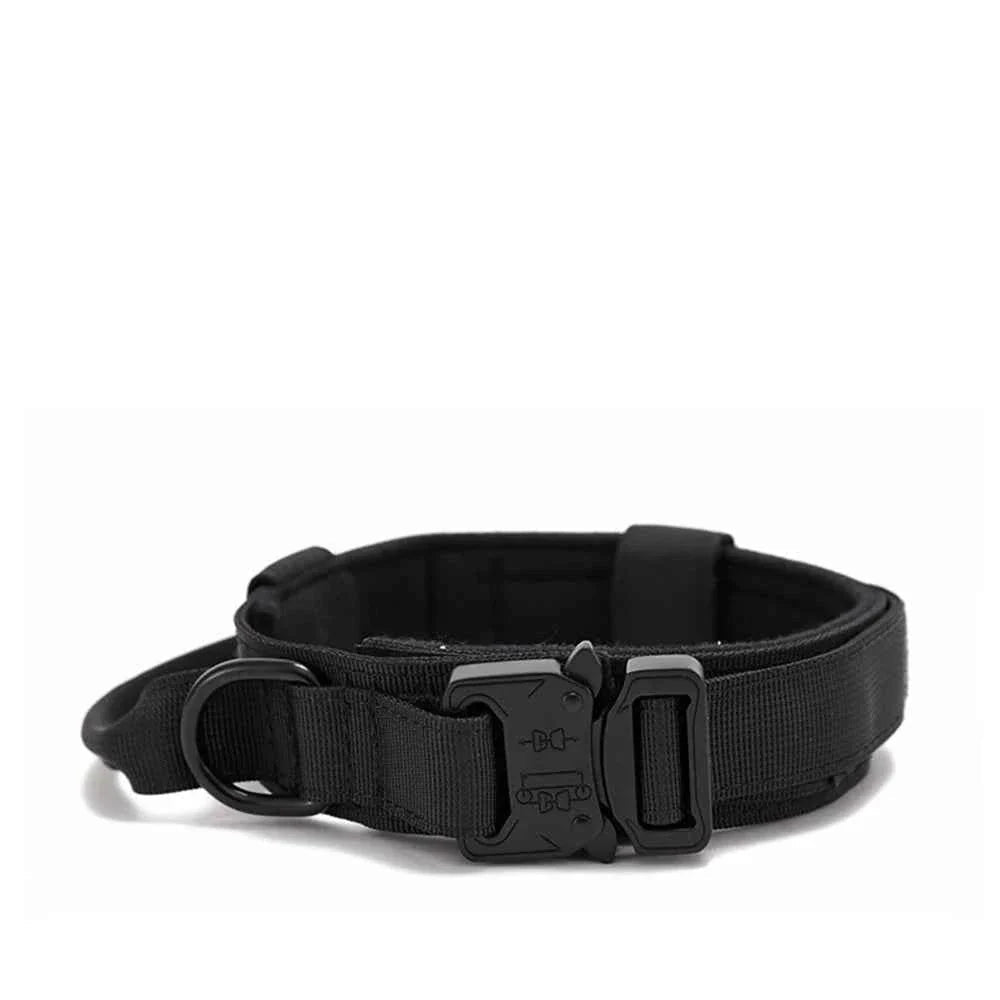 Durable Nylon Dog Collar with Reflective Leash Set - Lazy Paper Club