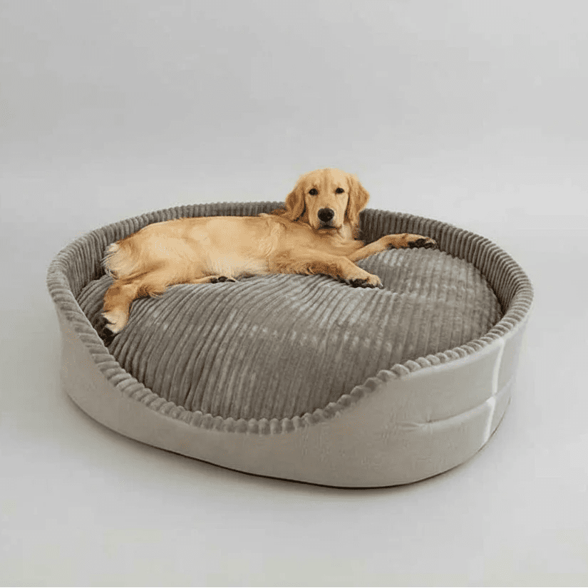 Extra Large Dog Bed Cooling Mat – All Season Warm and Cool Pet Bed Pet Beds - Lazy Paper Club