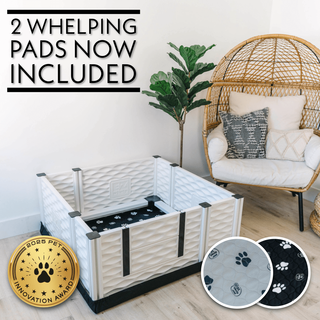 EZclassic Whelping Box w/Rails Whelping Box - Lazy Paper Club