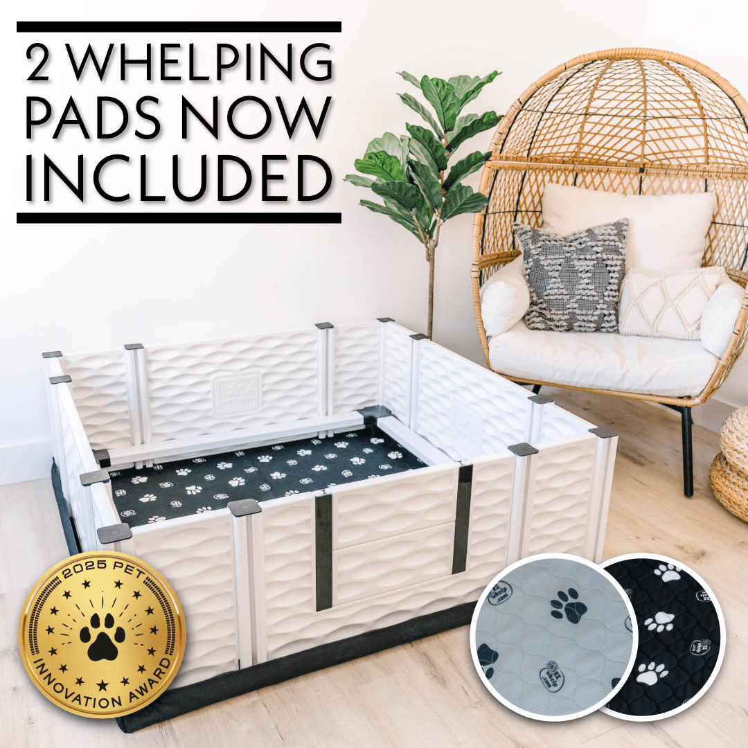 EZclassic Whelping Box w/Rails Whelping Box - Lazy Paper Club