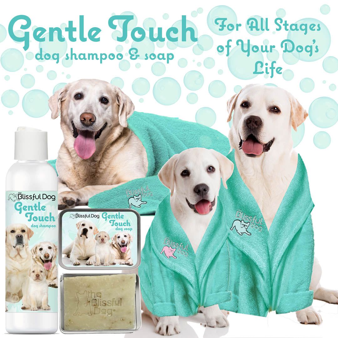 Gentle Touch Dog Shampoo & Soap SHAMPOO - Lazy Paper Club