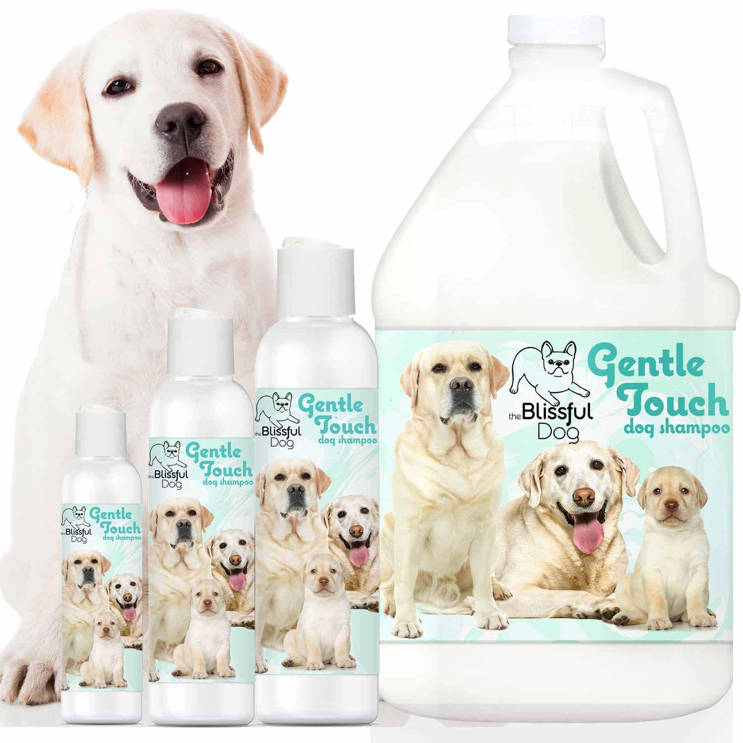 Gentle Touch Dog Shampoo & Soap SHAMPOO - Lazy Paper Club