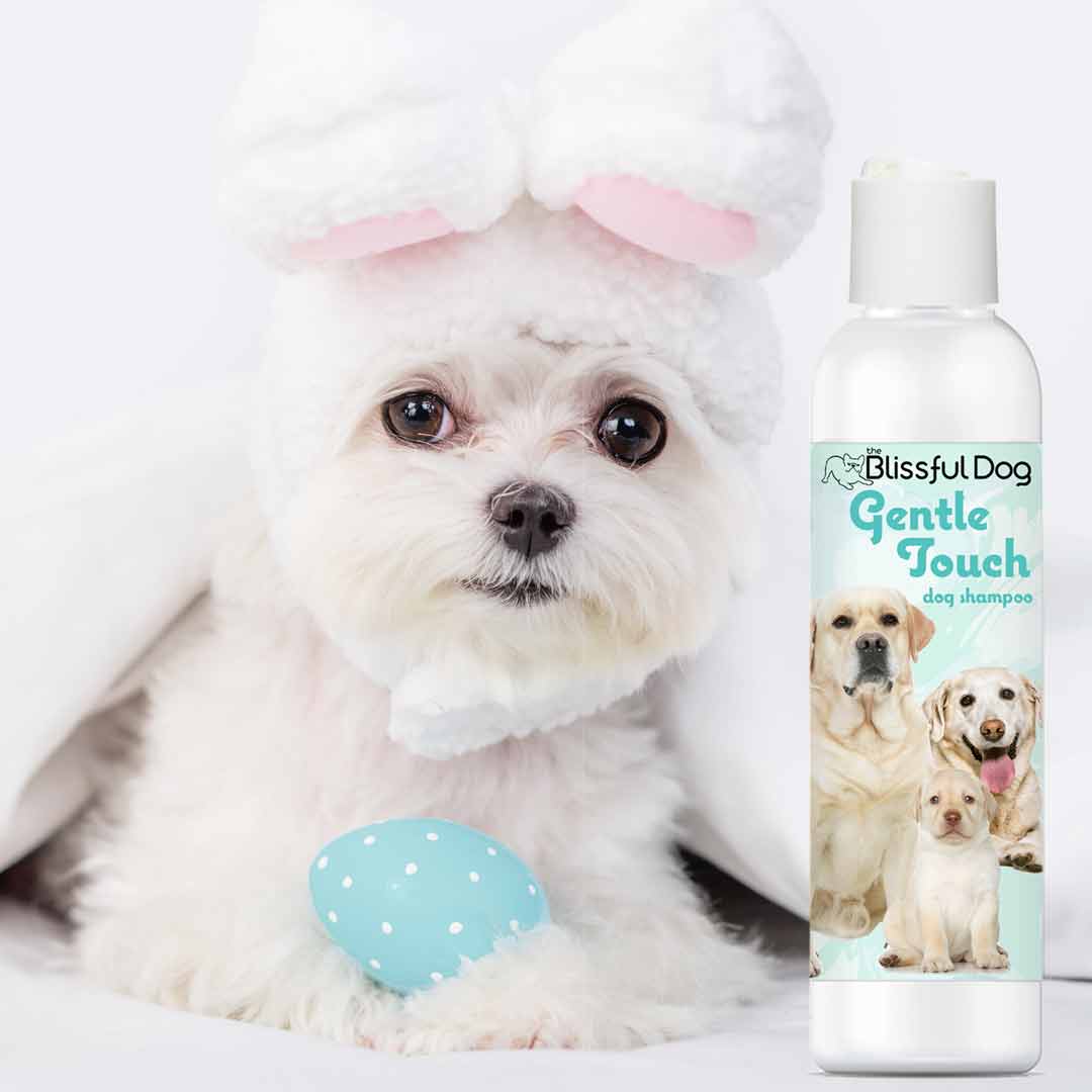Gentle Touch Dog Shampoo & Soap SHAMPOO - Lazy Paper Club