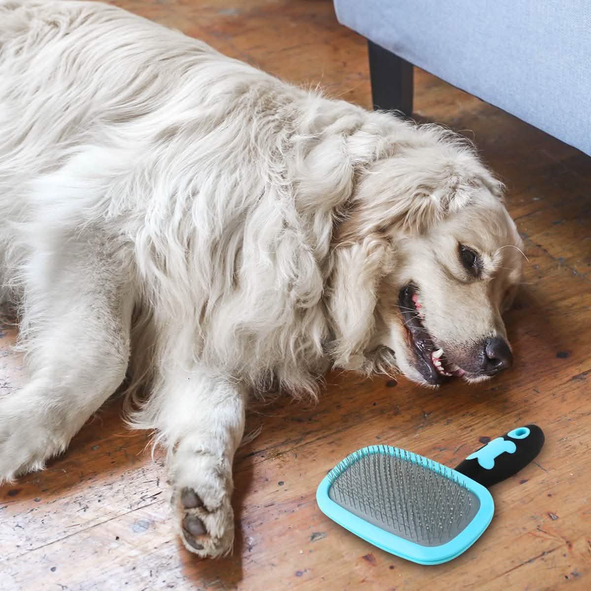 Glendan Dog Brush & Cat Brush - Slicker Pet Grooming Brush Pet Supplies - Lazy Paper Club