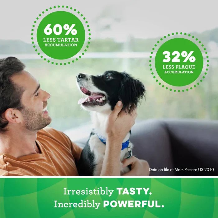 GREENIES Original TEENIE Dental Treats Dental Treats - Lazy Paper Club
