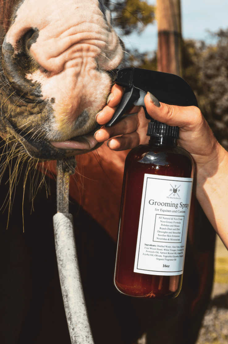 Grooming Spray - for Dogs & Horses - Lazy Paper Club