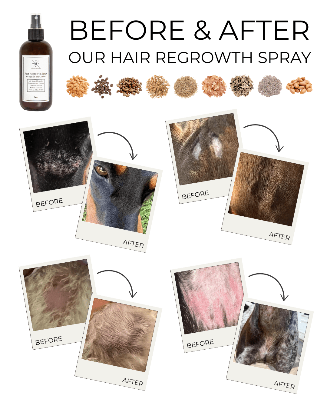 Hair Regrowth Spray for Dogs & Horses - Lazy Paper Club