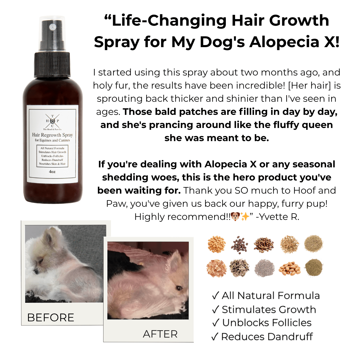 Hair Regrowth Spray for Dogs & Horses - Lazy Paper Club