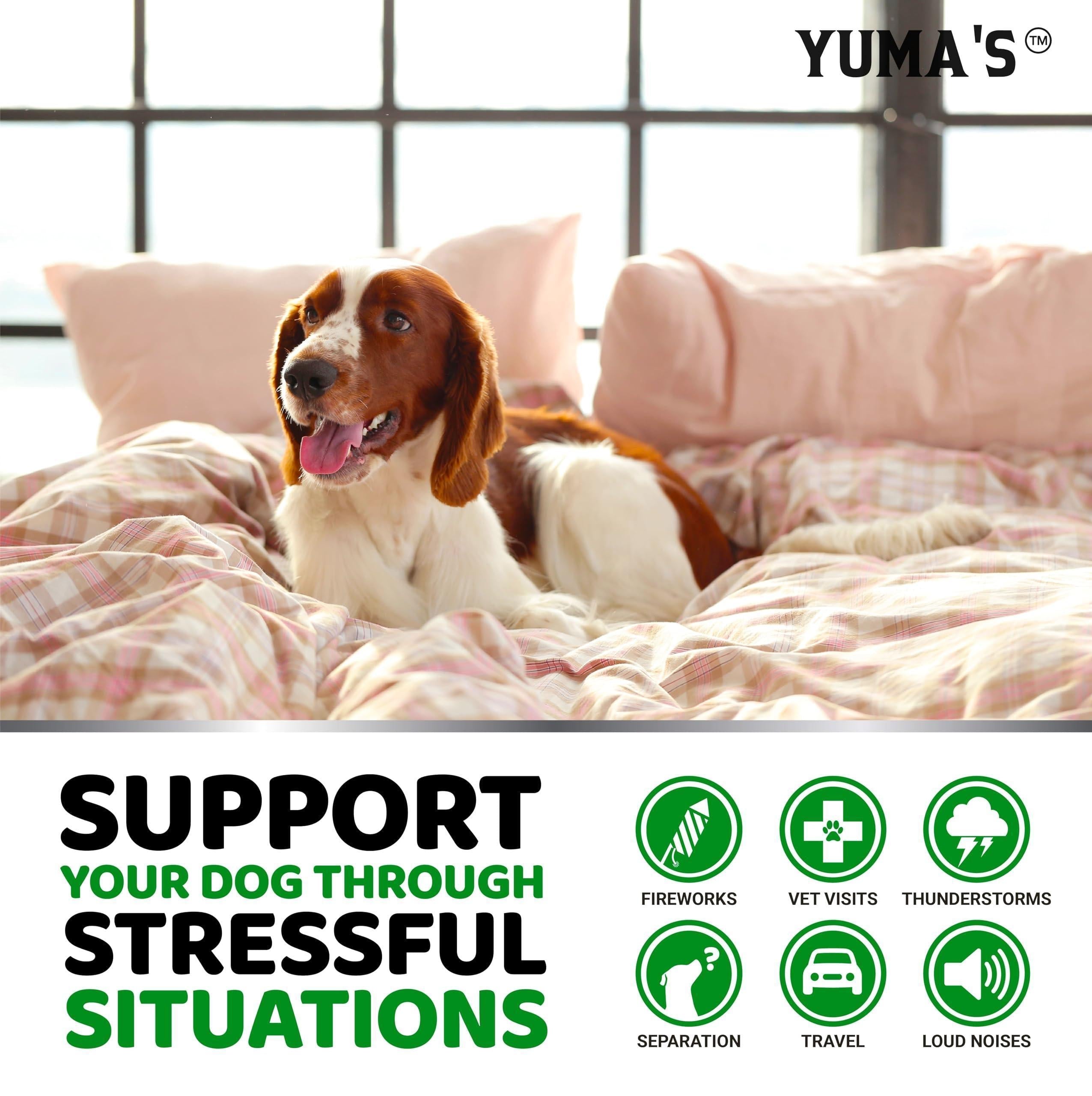 Hemp Calming Chews for Dogs 170 Count Anxiety Relief Beef Flavor Pet Relaxants & Dogs - Lazy Paper Club