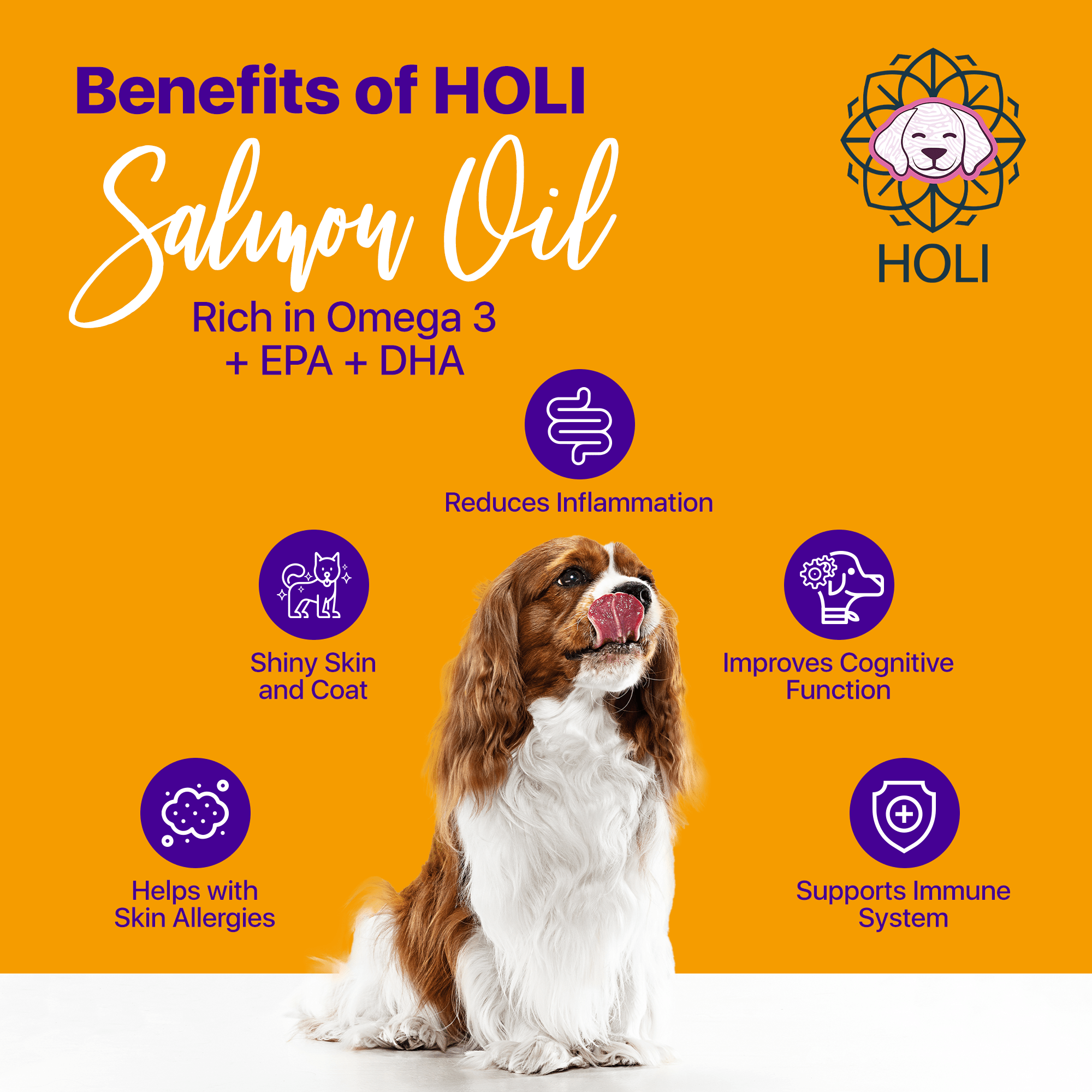 HOLI Icelandic Salmon Oil for Dogs | Extra Virgin Animals & Pet Supplies - Lazy Paper Club
