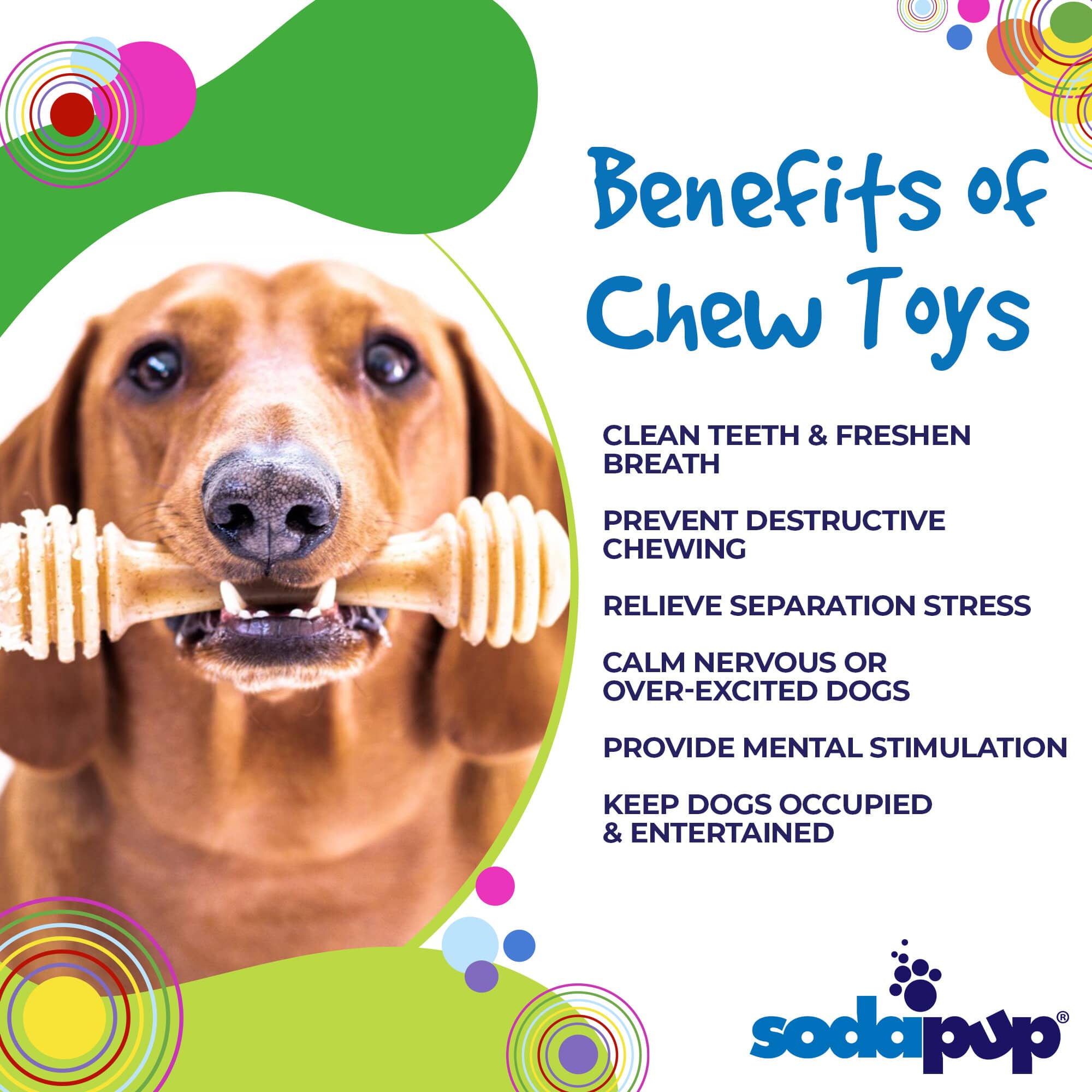 Honey Bone Nylon Dog Toy for Aggressive Chewers | Indestructible | USA Made Nylon Dog Toys - Lazy Paper Club