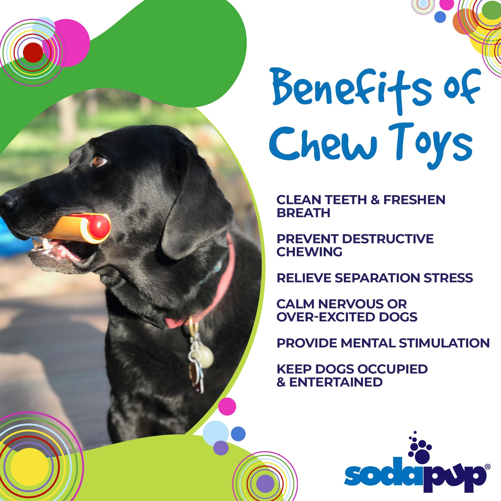Hot Dog Nylon Dog Toy for Aggressive Chewers | USA Made | SodaPup Nylon Dog Toys - Lazy Paper Club
