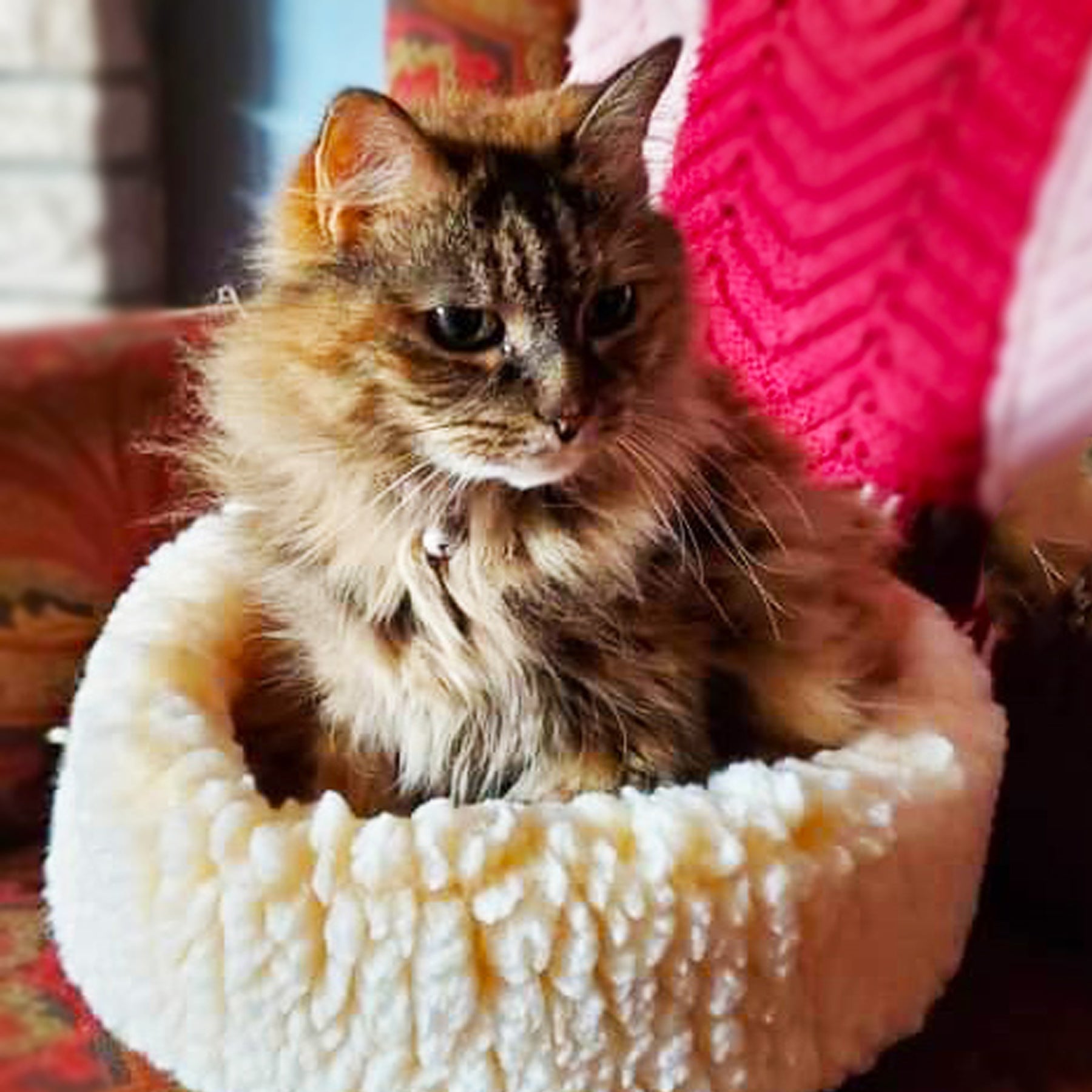 HuggleFleece® HuggleSnuggler™ Cat & Dog Beds Dog & Cat Bed - Lazy Paper Club