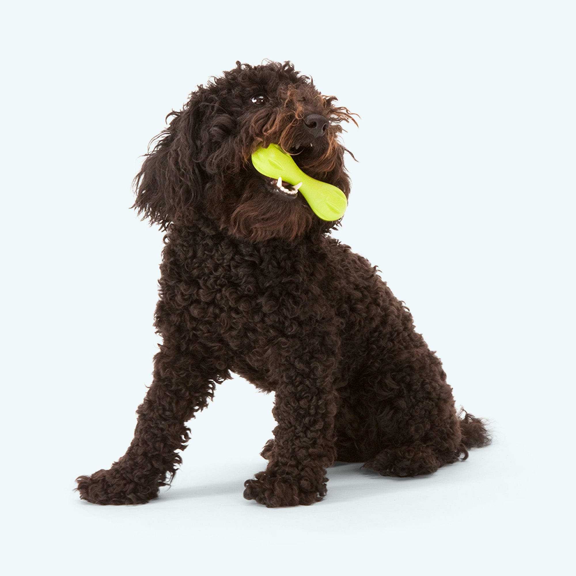 Hurley Toy - Lazy Paper Club