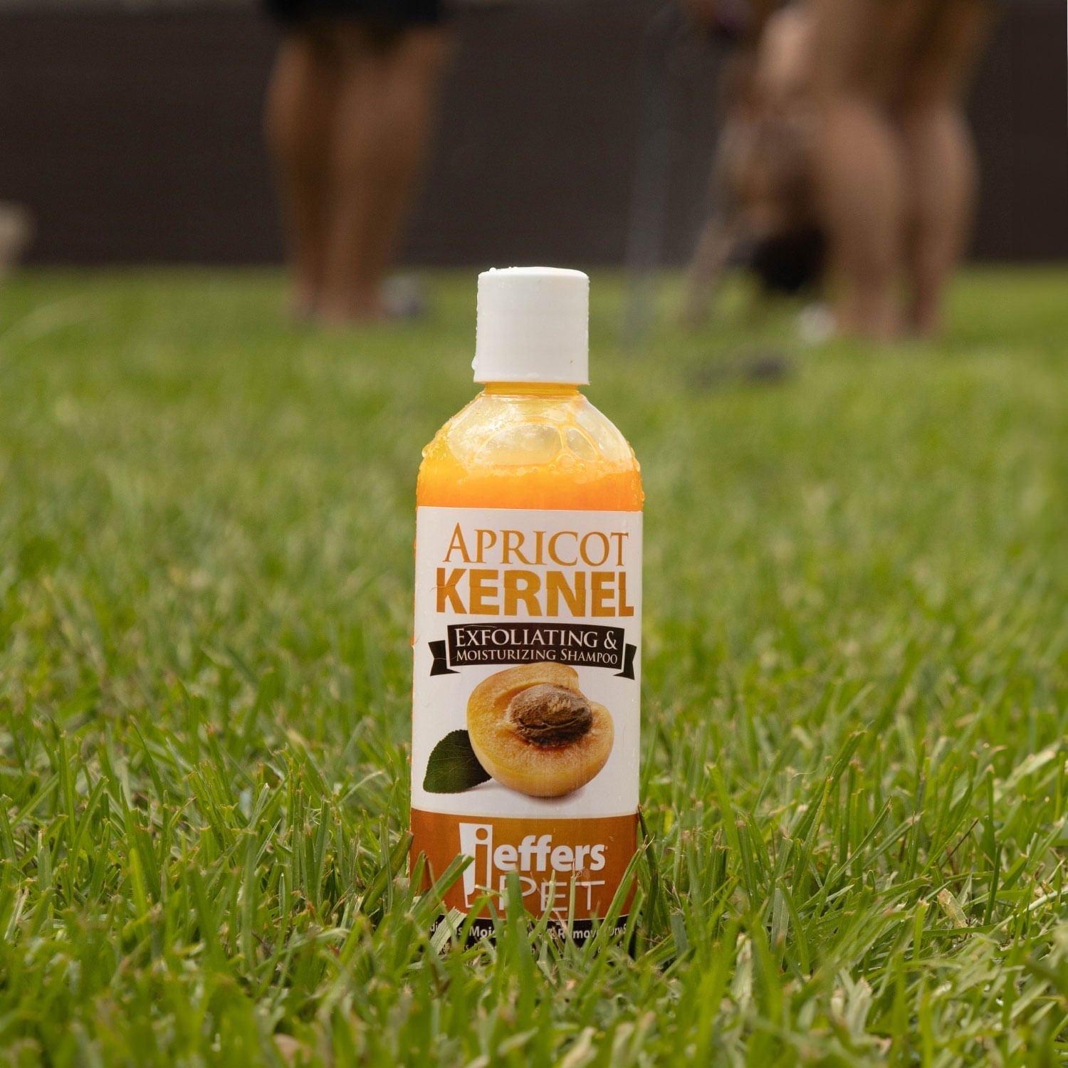 Jeffers Apricot Kernel Exfoliating & Moisturizing Pet Shampoo Animal & Pet Supplies > Pet Grooming > Pet Shampoo & Conditioner - Lazy Paper Club
