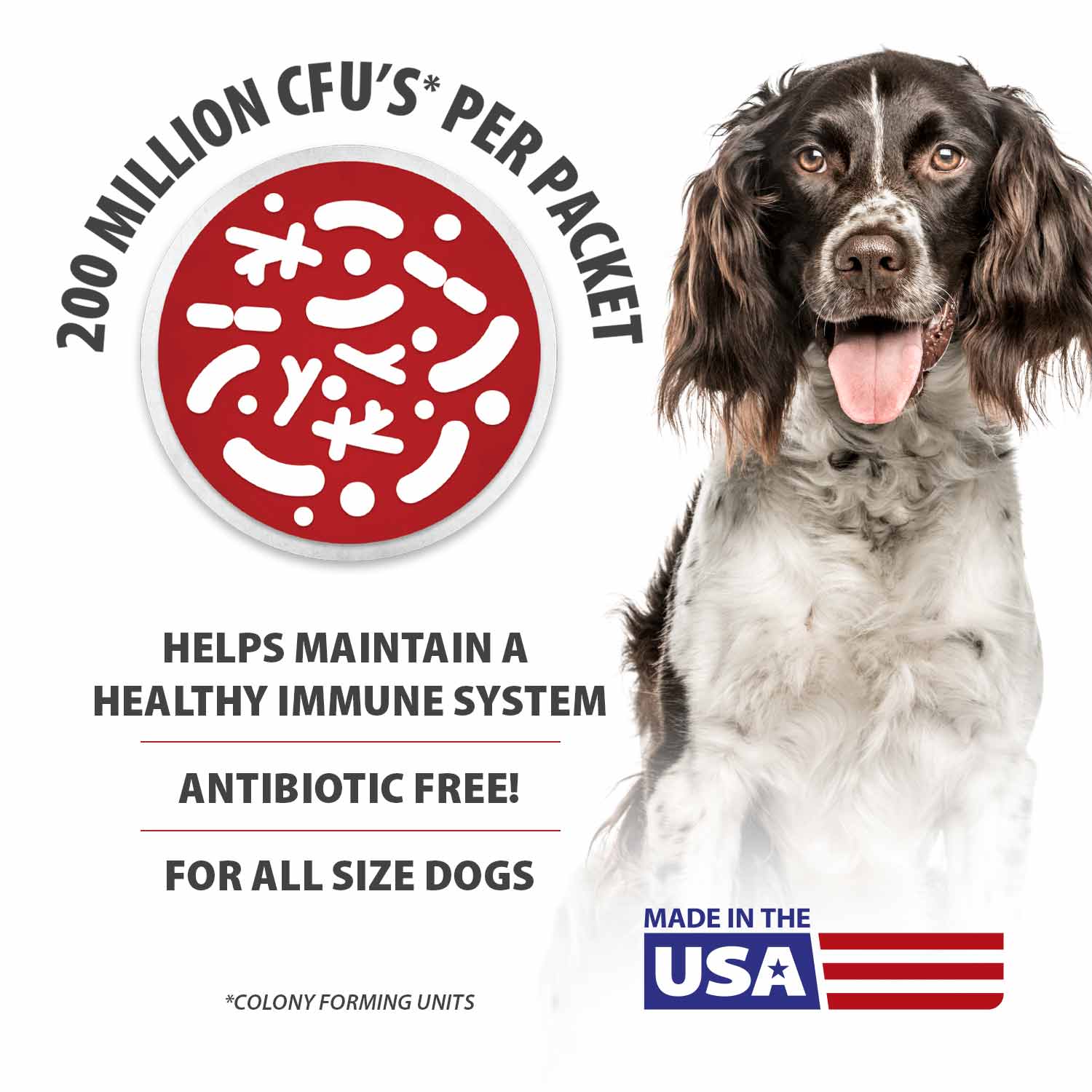Jeffers BELLY BUDDY Probiotic Supplement Powder for Dogs – Multi-Strain Digestive & Immune Support Animal Health & Wellness > Vitamins & Supplements - Lazy Paper Club