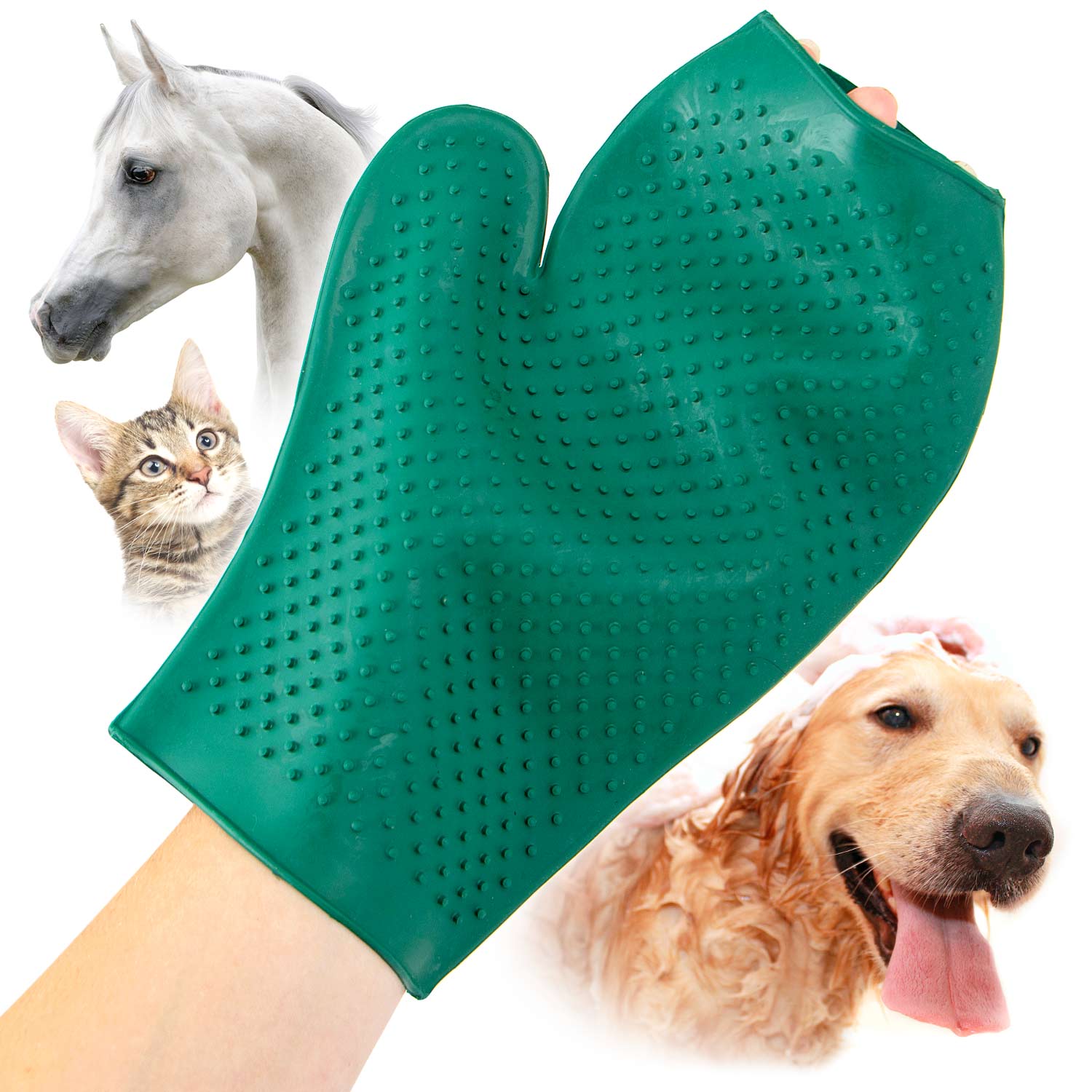 Jeffers GROOMIT - Rubber Grooming Glove for Animals Animal & Pet Supplies > Pet Grooming > Pet Combs & Brushes - Lazy Paper Club