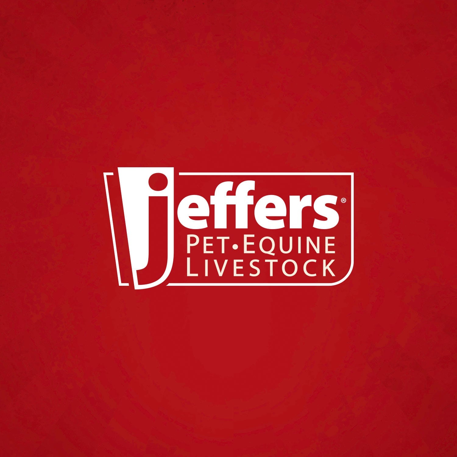 Jeffers Heavy Weight Stainless Steel Pet Bowls – Durable Pet Food & Water Dish, Chew-Resistant, Dishwasher Safe Animal & Pet Supplies > Pet Bowls, Feeders & Waterers - Lazy Paper Club