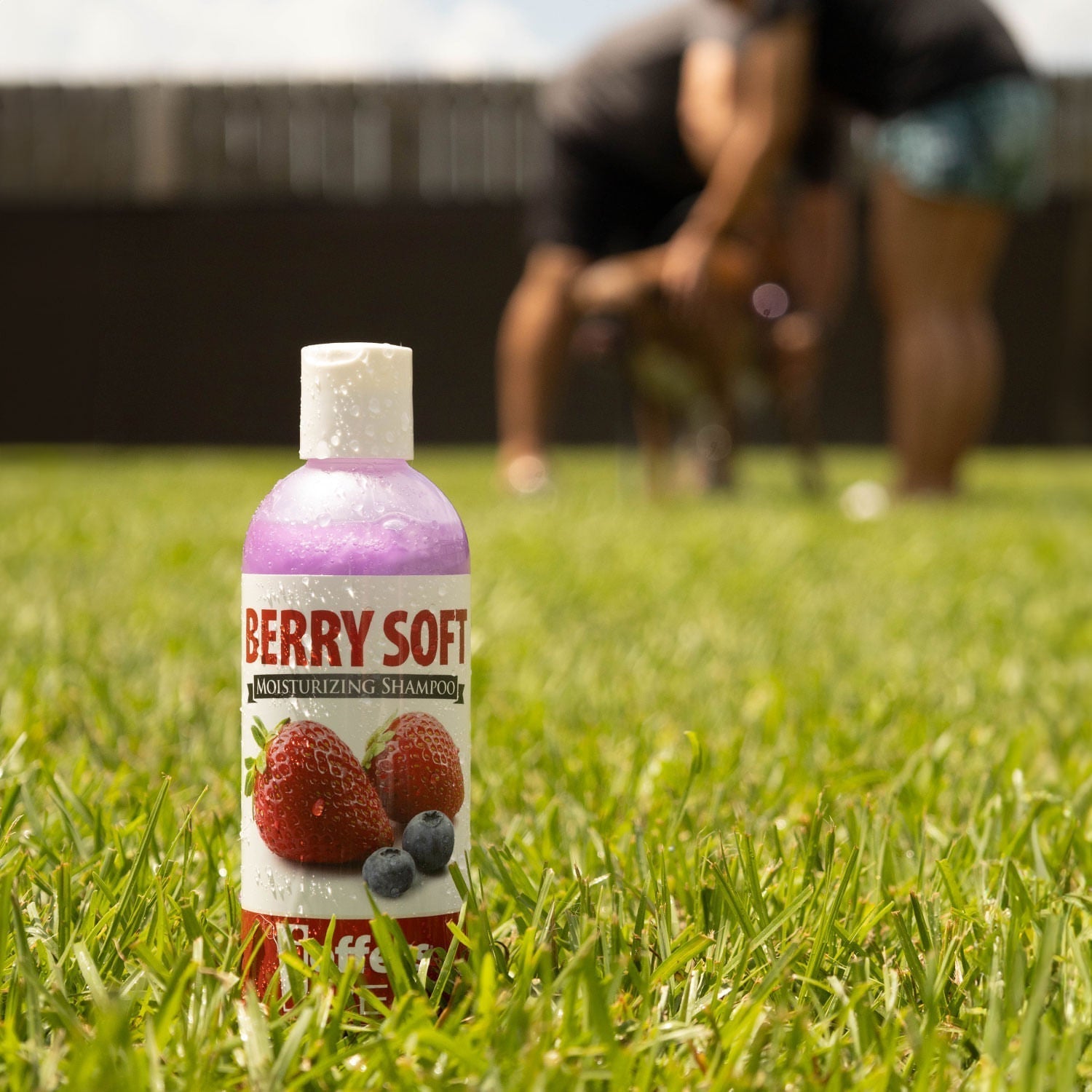 Jeffers Moisturizing Shampoos for Pets Animal & Pet Supplies > Pet Grooming > Pet Shampoo & Conditioner - Lazy Paper Club