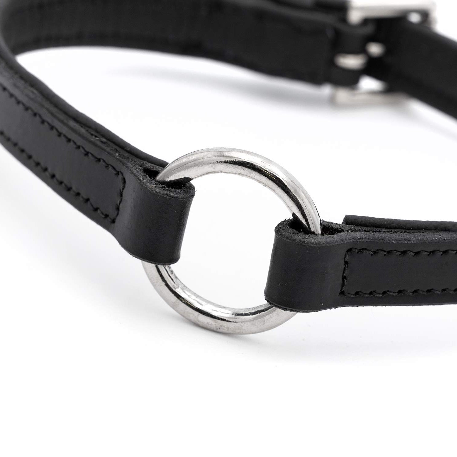 Jeffers Padded Black Leather Dog Collars with O-Ring and Nickel Hardware Dog Supplies > Dog Apparel > Dog Collars, Harnesses, & Leashes - Lazy Paper Club