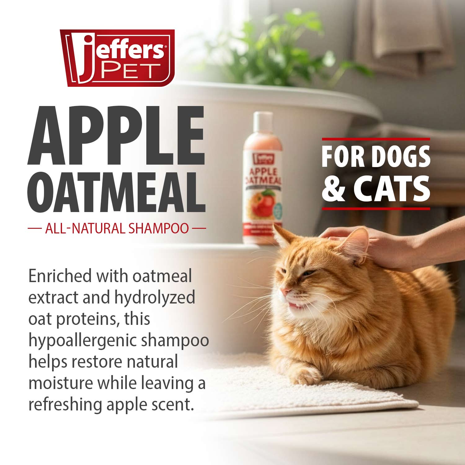 Jeffers Pet Apple Oatmeal All-Natural Hypoallergenic Dry Skin Shampoo for Dogs and Cats Animal & Pet Supplies > Pet Grooming > Pet Shampoo & Conditioner - Lazy Paper Club
