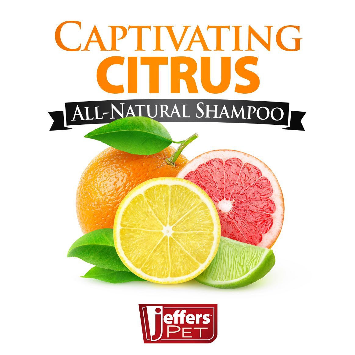 Jeffers Pet Captivating Citrus All-Natural Flea Bite Relief Shampoo for Dogs and Cats Animal & Pet Supplies > Pet Grooming > Pet Shampoo & Conditioner - Lazy Paper Club