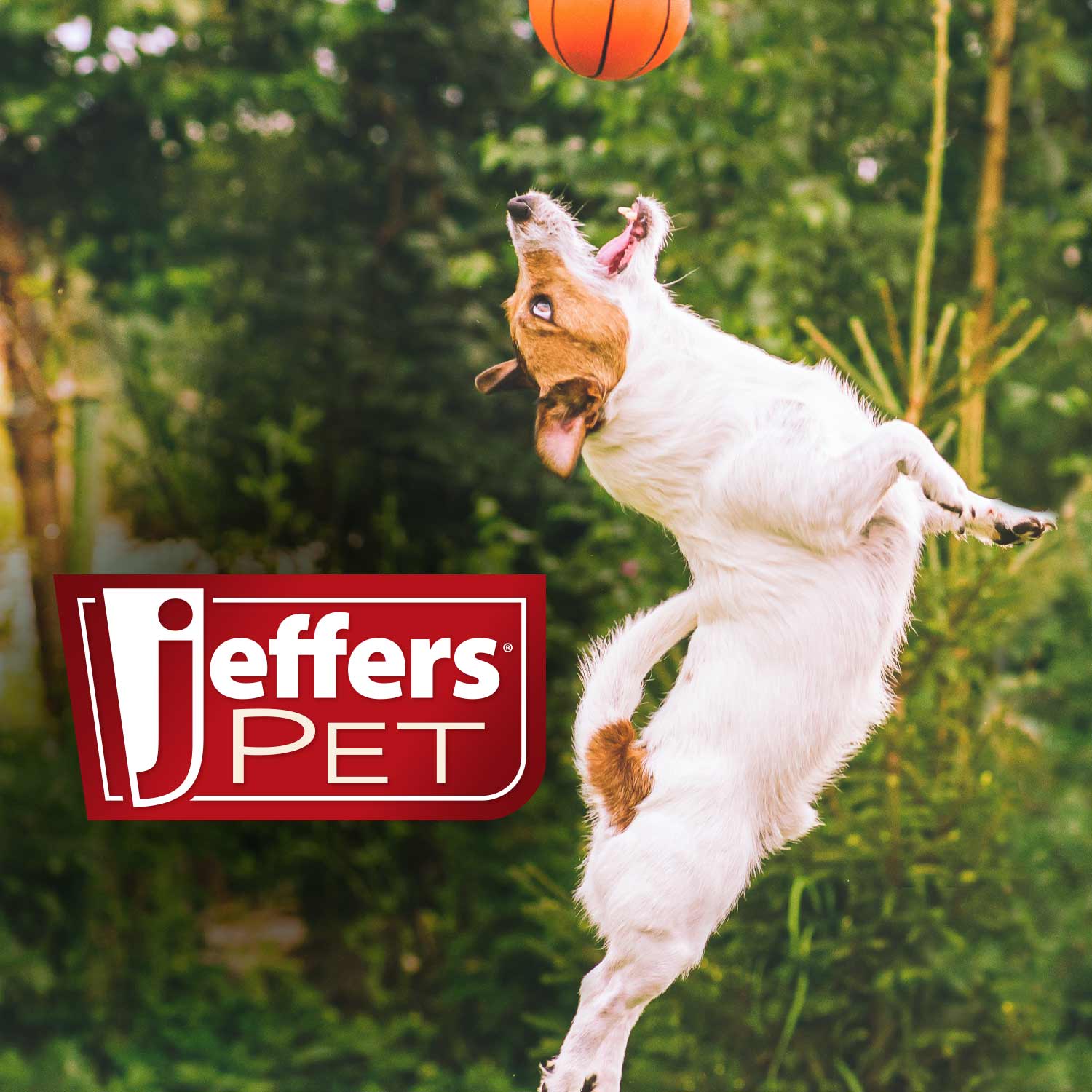 Jeffers Pet Christmas Characters Unstuffed Plush Squeaker Dog Toys, 12"L Dog Supplies > Dog Toys - Lazy Paper Club