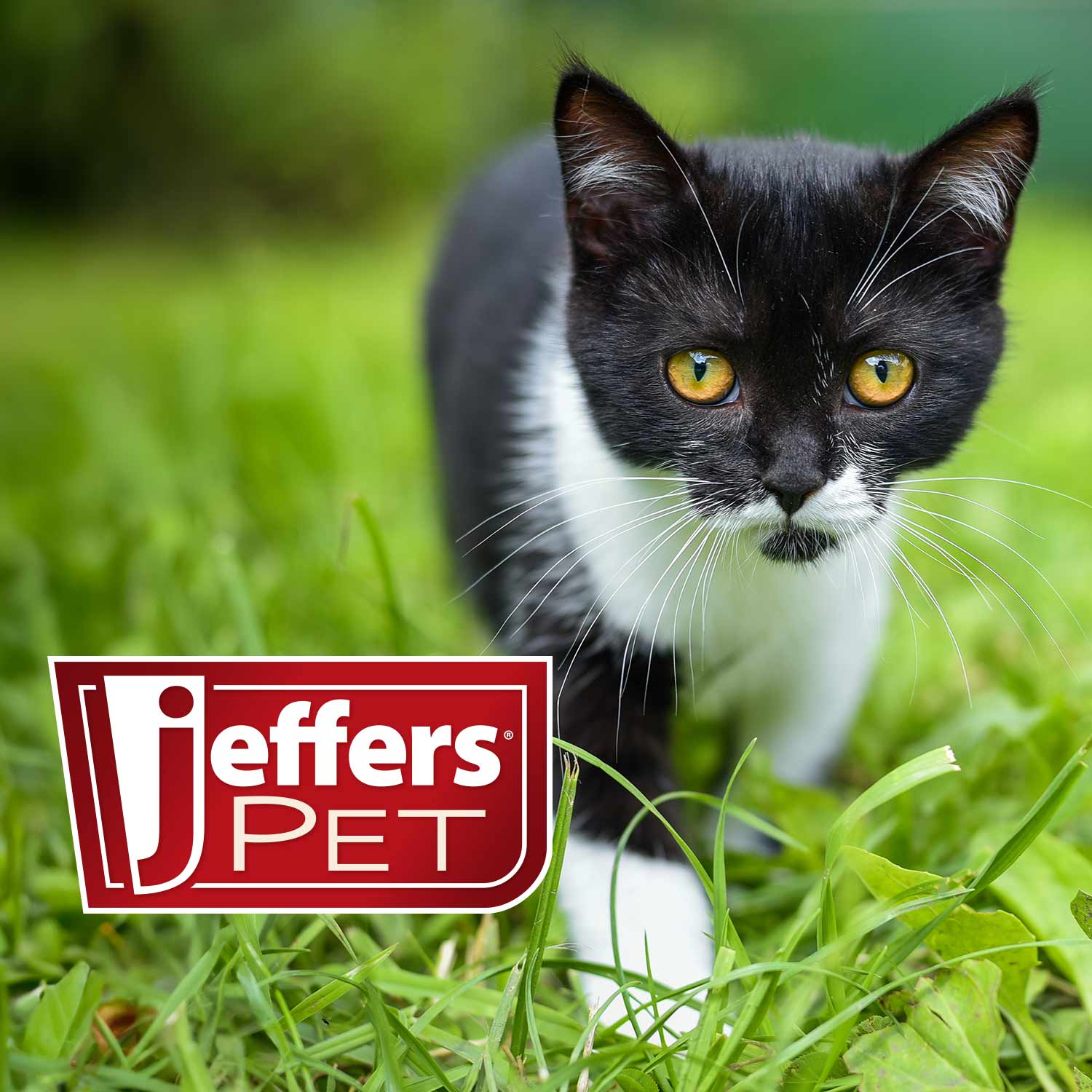 Jeffers Pet Nail File for Dog and Cat Nail Grooming, 7"L Animal & Pet Supplies > Pet Grooming > Pet Nail & Pad Care - Lazy Paper Club