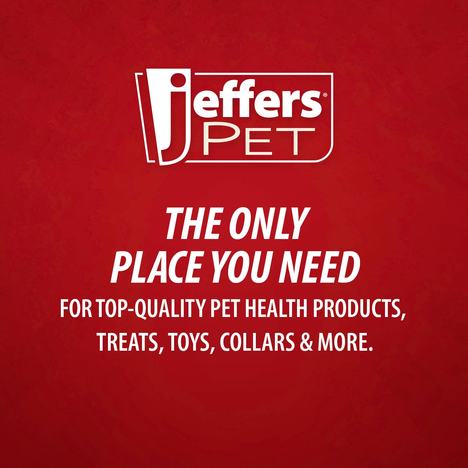 Jeffers Pet Nature's Best Cedar All-Natural Flea Bite Relief Shampoo for Dogs and Cats Animal & Pet Supplies > Pet Grooming > Pet Shampoo & Conditioner - Lazy Paper Club