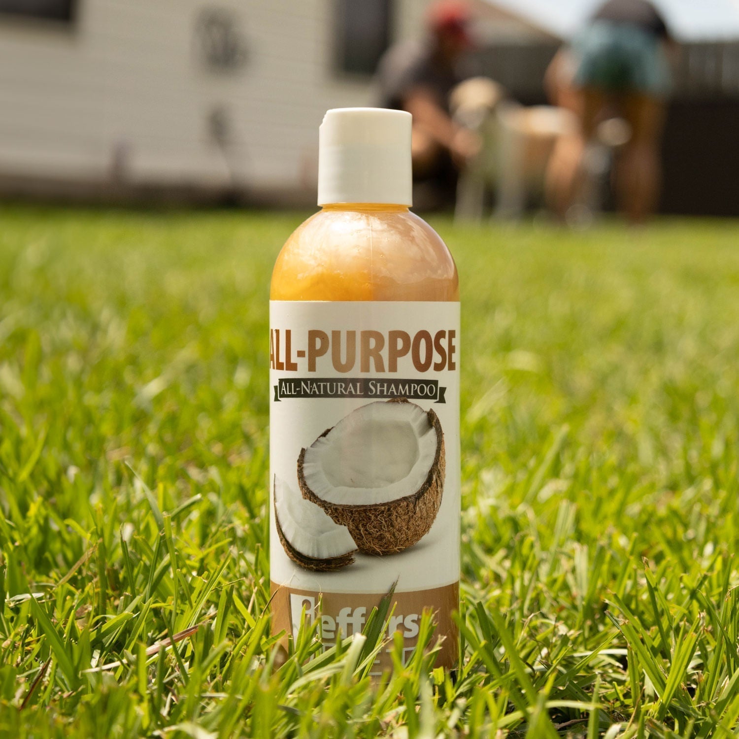 Jeffers Pet Tearless All-Purpose All-Natural Coconut Oil Shampoo for Dogs & Cats Animal & Pet Supplies > Pet Grooming > Pet Shampoo & Conditioner - Lazy Paper Club