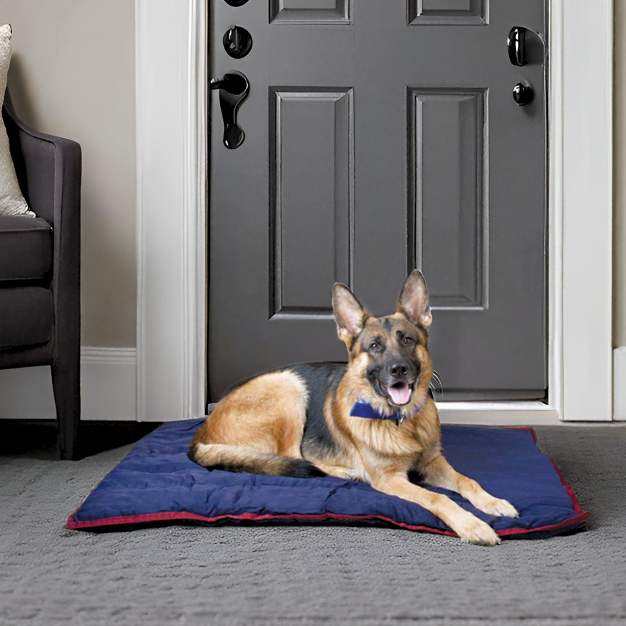Jeffers Pet Washable Comfy Dog Pillow for Crates, Carriers, or Lounging Dog Supplies > Dog Beds - Lazy Paper Club