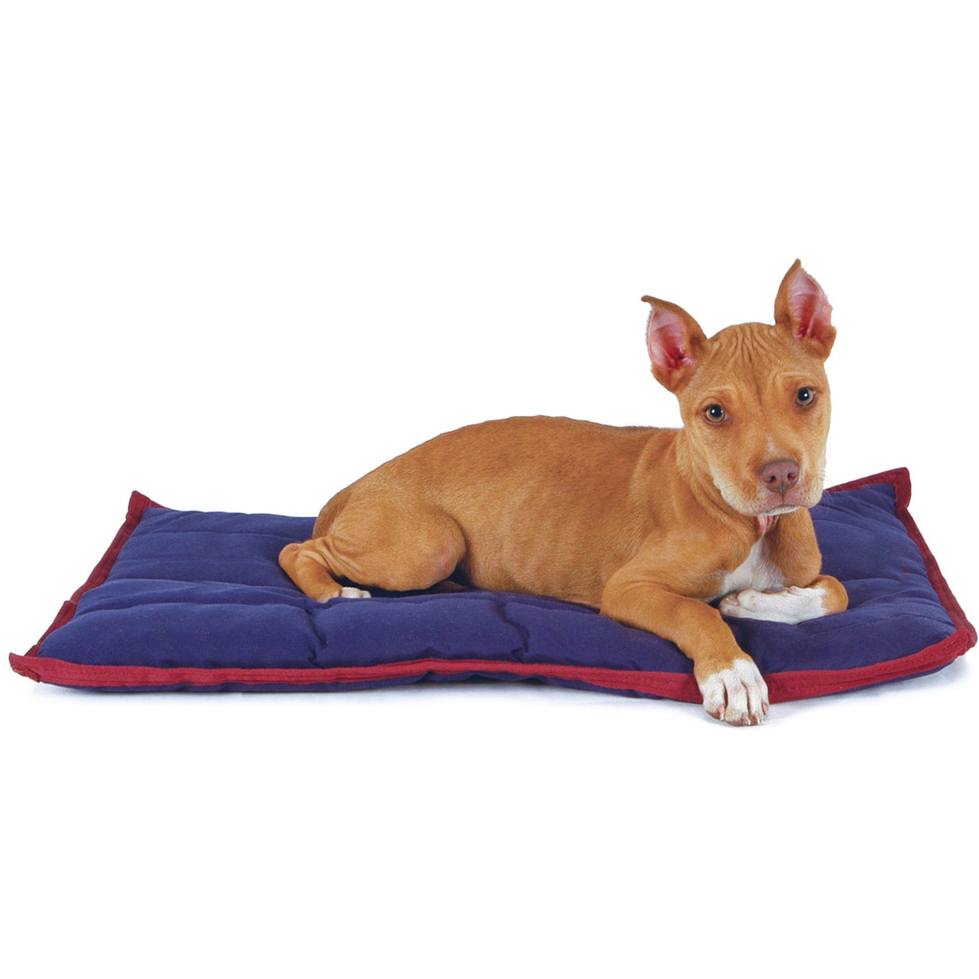 Jeffers Pet Washable Comfy Dog Pillow for Crates, Carriers, or Lounging Dog Supplies > Dog Beds - Lazy Paper Club