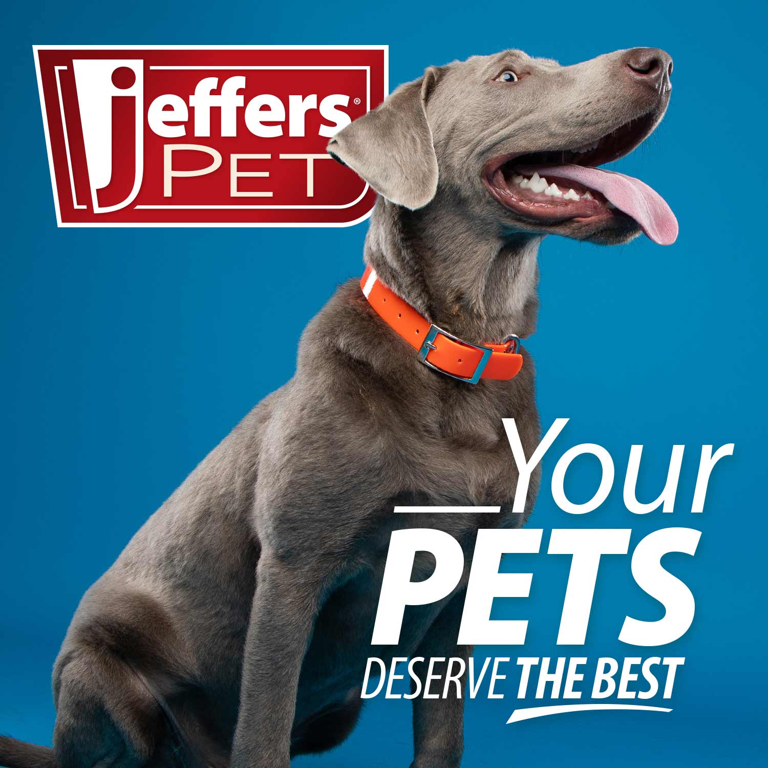 Jeffers Thinnies Unstuffed Plush Dog Toys, 21"L Dog Supplies > Dog Toys - Lazy Paper Club