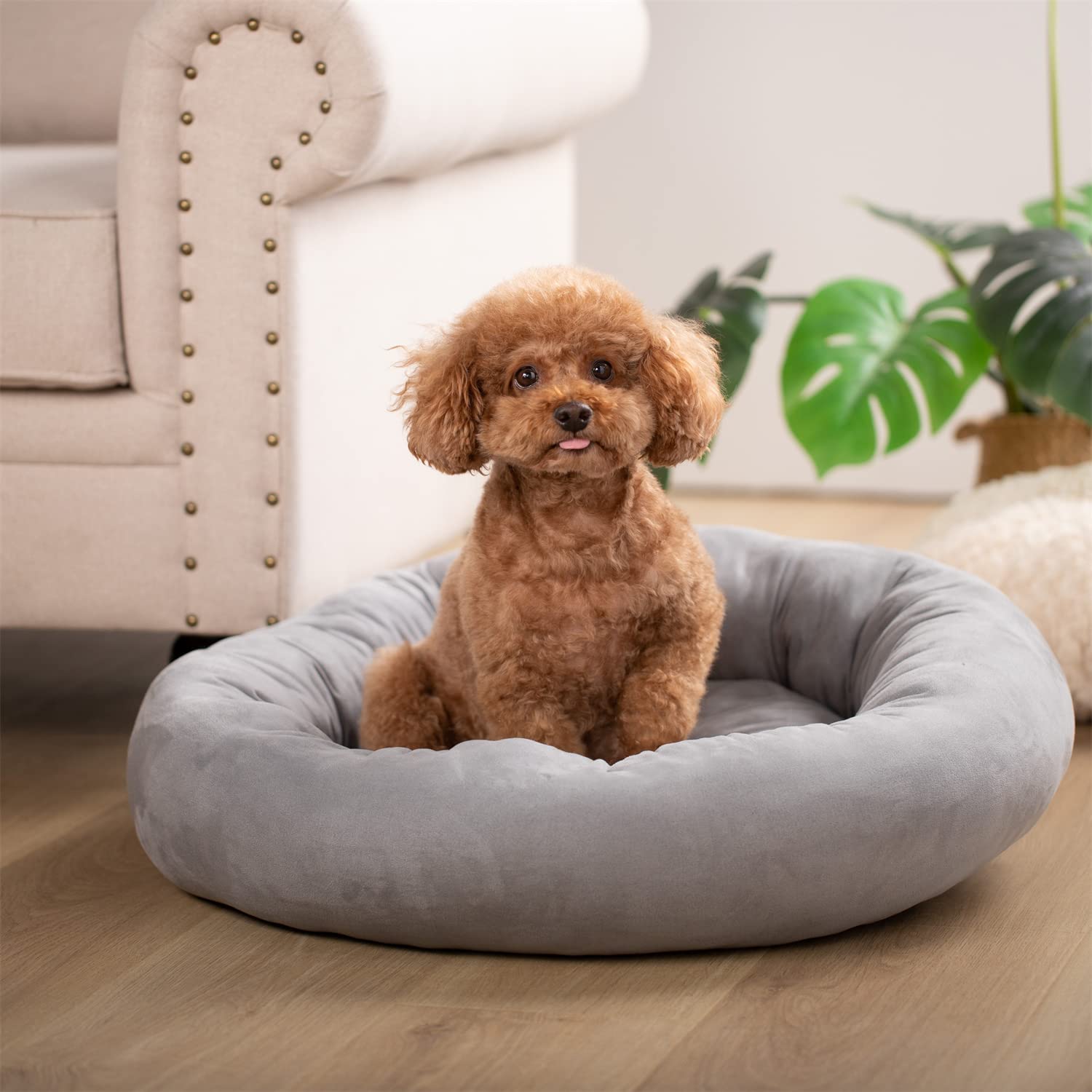 Kasentex Soft Dog Bed - Cozy Pet Bed Cushion Dog Bed - Lazy Paper Club