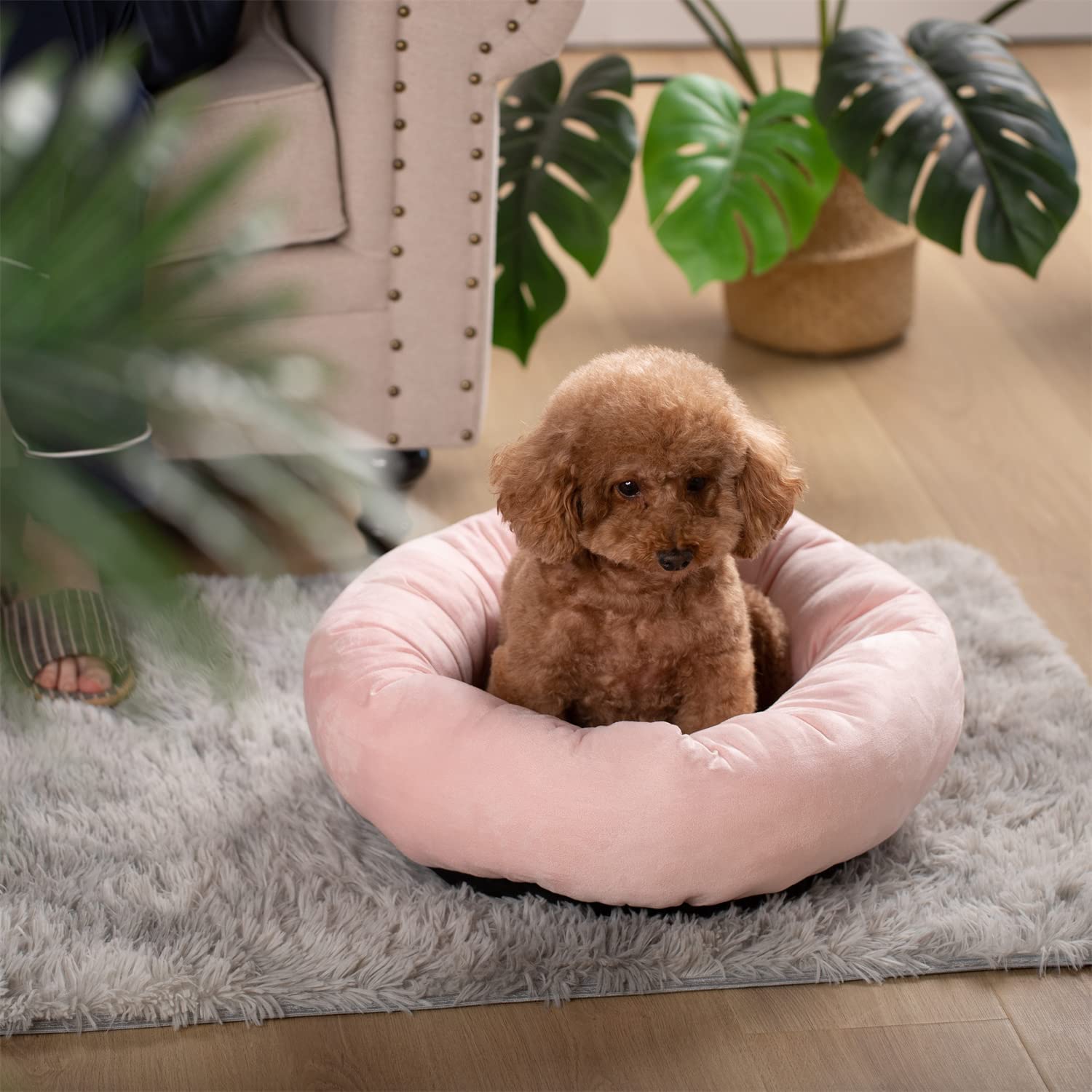 Kasentex Soft Dog Bed - Cozy Pet Bed Cushion Dog Bed - Lazy Paper Club