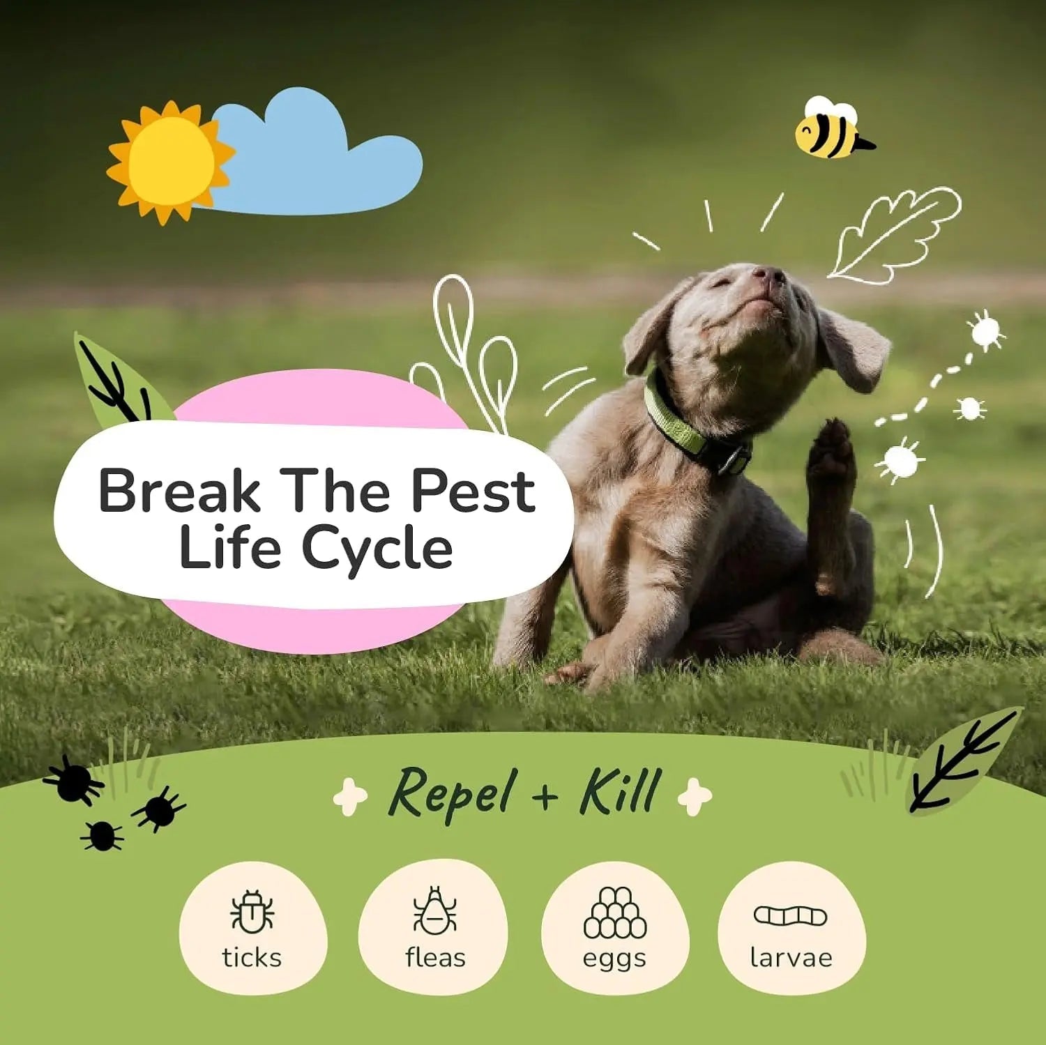 kin+kind Flea & Tick Shampoo & Spray Kit for Dogs & Cats – Plant-Based - Lazy Paper Club