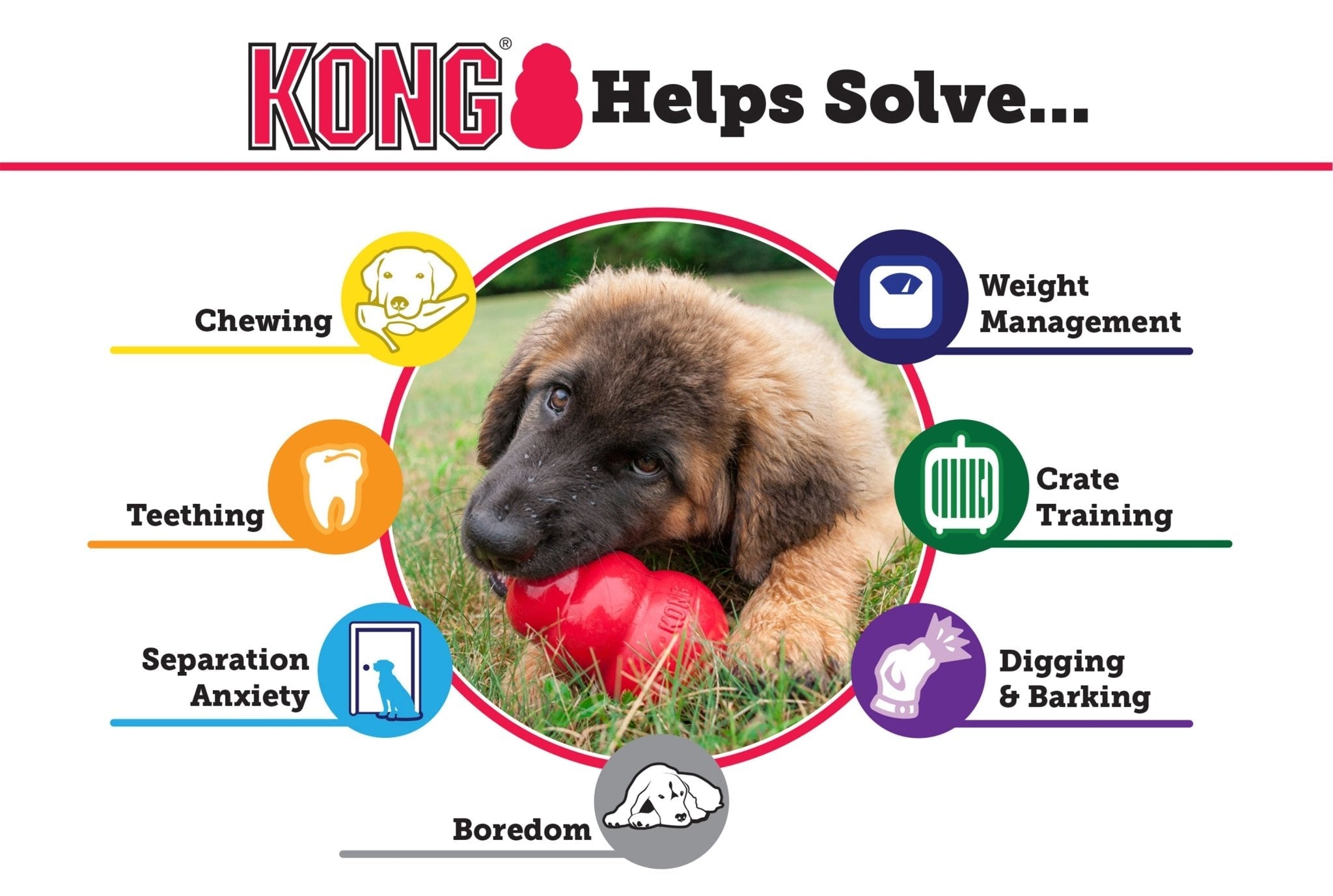 KONG Classic Dog Toy Dog Supplies > Dog Toys - Lazy Paper Club