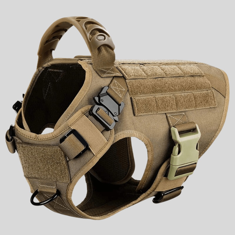 Large Dog Harness & Leash Set – Training Vest for Big Breeds - Lazy Paper Club