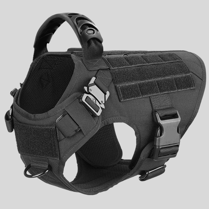 Large Dog Harness & Leash Set – Training Vest for Big Breeds - Lazy Paper Club