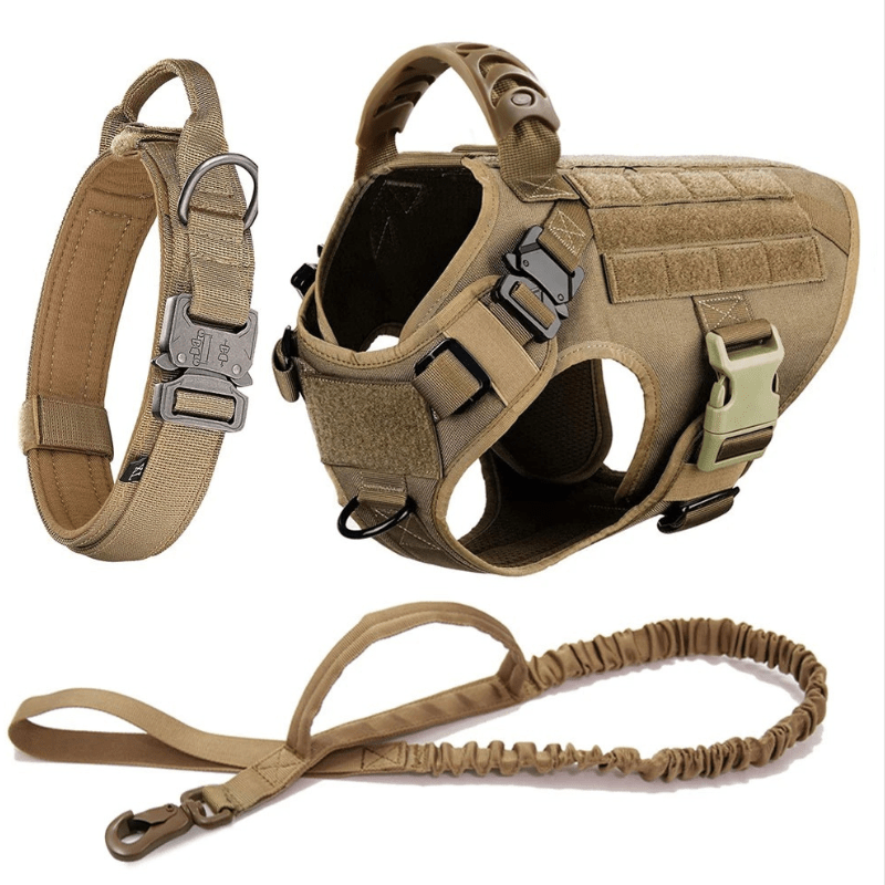 Large Dog Harness & Leash Set – Training Vest for Big Breeds - Lazy Paper Club