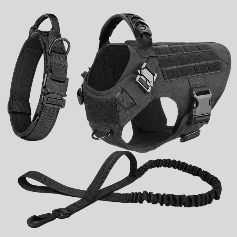 Large Dog Harness & Leash Set – Training Vest for Big Breeds - Lazy Paper Club