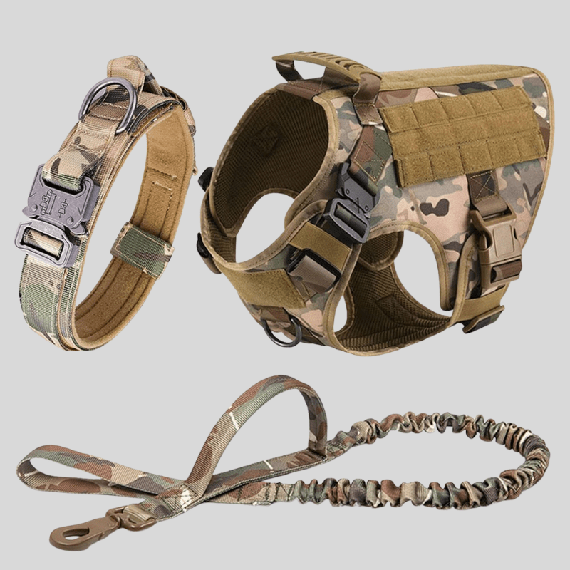 Large Dog Harness & Leash Set – Training Vest for Big Breeds - Lazy Paper Club