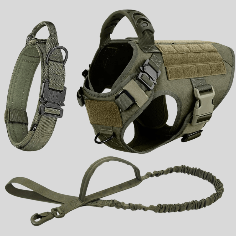 Large Dog Harness & Leash Set – Training Vest for Big Breeds - Lazy Paper Club