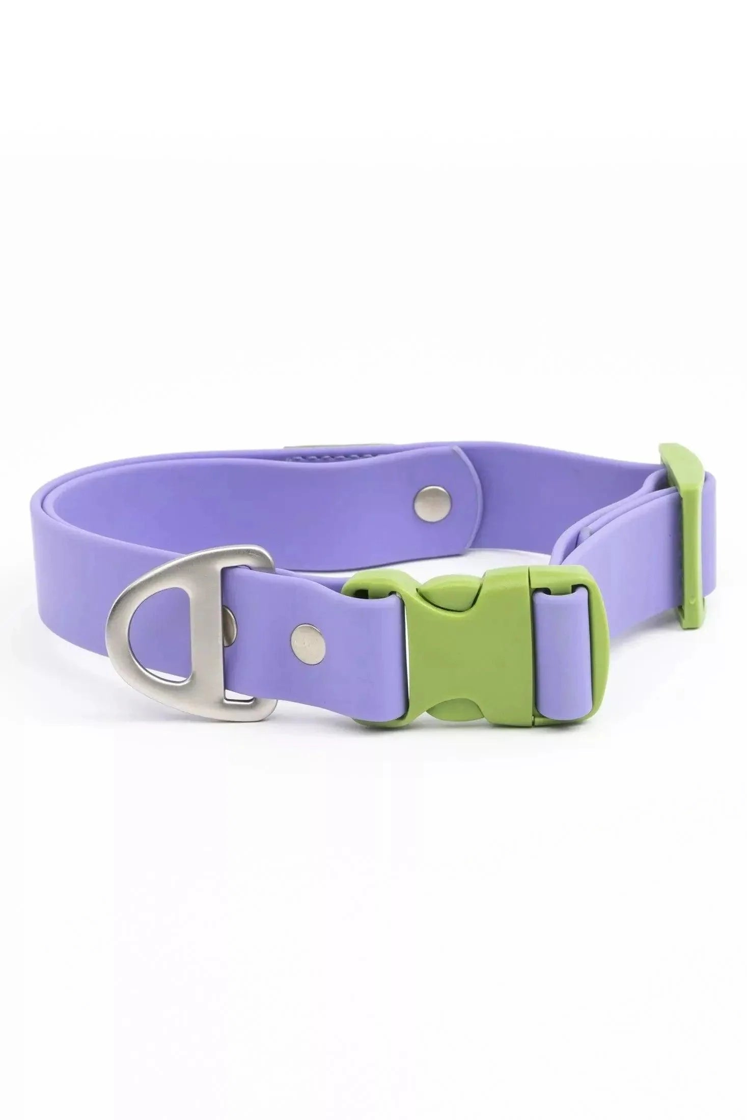 Lavender Garden Waterproof Dog Collar Collar - Lazy Paper Club