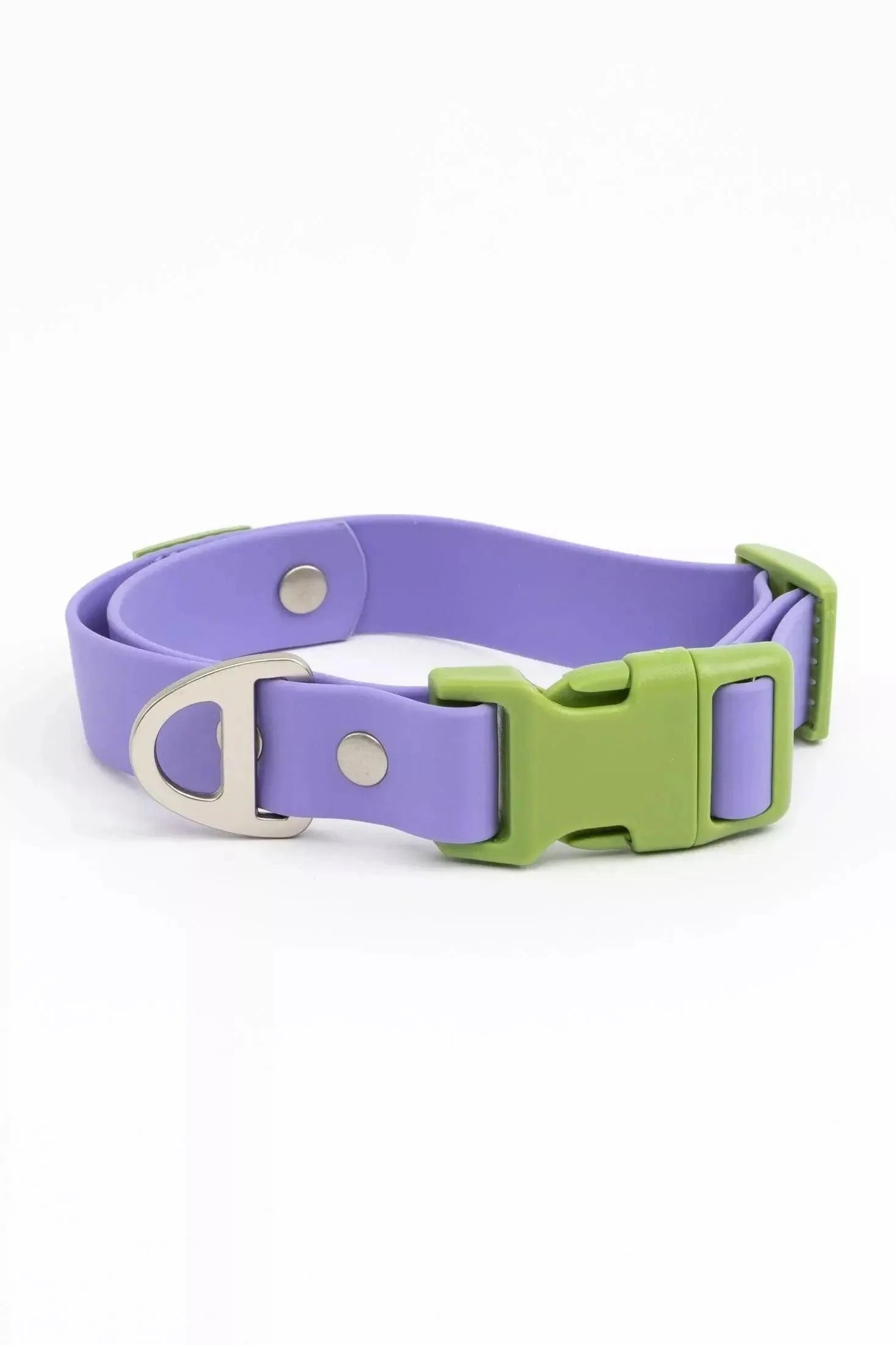 Lavender Garden Waterproof Dog Collar Collar - Lazy Paper Club
