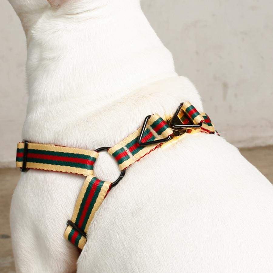 Le Classic Dog Harness - Lazy Paper Club