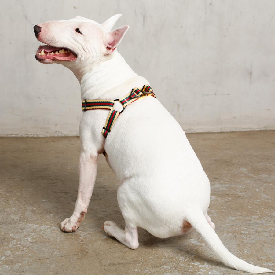 Le Classic Dog Harness - Lazy Paper Club