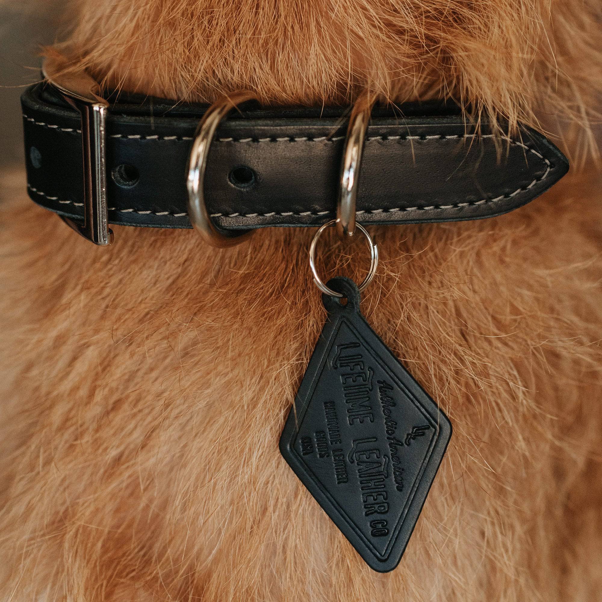 Leather Dog Collar - Designer Collar - Lazy Paper Club