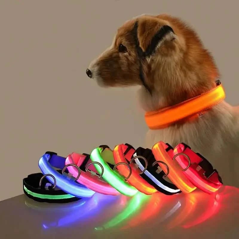 LED Dog Collars Light Adjustable Flashing Luminous Collar Night Anti-Lost Pet Supplies - Lazy Paper Club